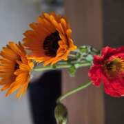 ヒメ日記 2026/03/05 10:39 投稿 あおい メンエス案内所