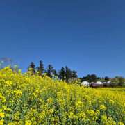 ヒメ日記 2026/04/09 08:02 投稿 あおい メンエス案内所