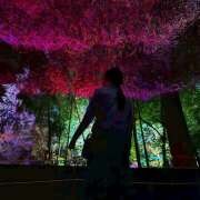 あおい GWでかける予定がない方 メンエス案内所