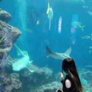 ヒメ日記 2025/11/14 20:20 投稿 心美いろは ウルトラセレクション