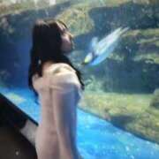 ヒメ日記 2025/12/13 16:20 投稿 心美いろは ウルトラセレクション