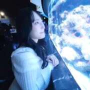 ヒメ日記 2025/12/14 12:50 投稿 心美いろは ウルトラセレクション