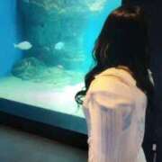 ヒメ日記 2025/12/14 17:22 投稿 心美いろは ウルトラセレクション