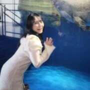 ヒメ日記 2025/12/14 18:50 投稿 心美いろは ウルトラセレクション