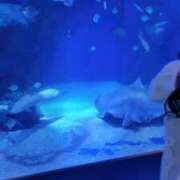 ヒメ日記 2025/12/14 20:20 投稿 心美いろは ウルトラセレクション