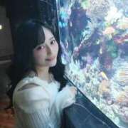 ヒメ日記 2025/12/15 06:20 投稿 心美いろは ウルトラセレクション