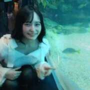 ヒメ日記 2025/12/19 18:56 投稿 心美いろは ウルトラセレクション