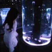 ヒメ日記 2025/12/20 13:26 投稿 心美いろは ウルトラセレクション