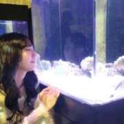 心美いろは おはぴ🎶 ウルトラセレクション