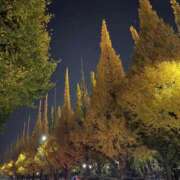 杉本あいの 紅葉の秋。今日は珍しく早めから。。 MIRAI TOKYO 六本木店