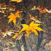 ヒメ日記 2025/11/26 21:01 投稿 深田ちか ミセスレディ