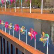 ヒメ日記 2026/03/16 15:54 投稿 まゆ 上野回春性感マッサージ倶楽部