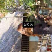 ヒメ日記 2026/01/30 11:45 投稿 みりあ 千葉サンキュー