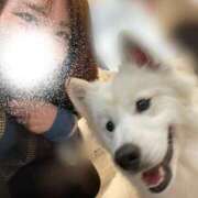 ヒメ日記 2025/11/27 01:30 投稿 白雪りん ゴールドクイーン