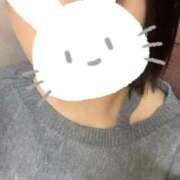 とわ こんにちは！ リアル 日本橋店