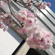 ヒメ日記 2026/04/12 13:04 投稿 ゆう たっぷりHoneyoilSPA福岡中洲店