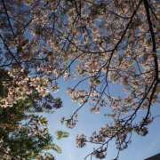 ヒメ日記 2026/04/16 22:24 投稿 ゆう たっぷりHoneyoilSPA福岡中洲店