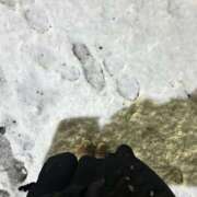 ヒメ日記 2026/01/02 20:51 投稿 詩瑞花／しずか 大宮人妻セレブリティ（ユメオト）