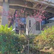 ヒメ日記 2026/01/28 11:43 投稿 詩瑞花／しずか 大宮人妻セレブリティ（ユメオト）