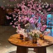 ヒメ日記 2026/03/28 15:43 投稿 詩瑞花／しずか 大宮人妻セレブリティ（ユメオト）