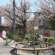 ヒメ日記 2026/03/29 08:30 投稿 詩瑞花／しずか 大宮人妻セレブリティ（ユメオト）