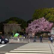 ヒメ日記 2026/04/11 08:30 投稿 詩瑞花／しずか 大宮人妻セレブリティ（ユメオト）