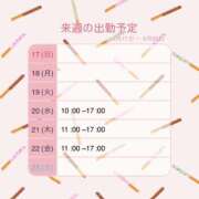 ヒメ日記 2026/05/14 07:31 投稿 詩瑞花／しずか 大宮人妻セレブリティ（ユメオト）