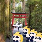 ヒメ日記 2026/06/07 08:31 投稿 詩瑞花／しずか 大宮人妻セレブリティ（ユメオト）