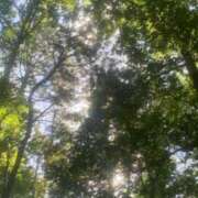 ヒメ日記 2025/11/19 09:19 投稿 緑川　あおい 30・40・50代☆人妻熟女コレクション