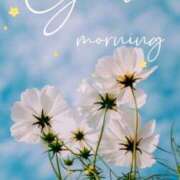 ヒメ日記 2026/03/25 09:32 投稿 緑川　あおい 30・40・50代☆人妻熟女コレクション