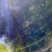 ヒメ日記 2026/04/15 07:24 投稿 緑川　あおい 30・40・50代☆人妻熟女コレクション