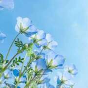 ヒメ日記 2026/04/19 16:27 投稿 緑川　あおい 30・40・50代☆人妻熟女コレクション