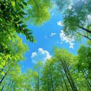 ヒメ日記 2026/04/20 08:57 投稿 緑川　あおい 30・40・50代☆人妻熟女コレクション