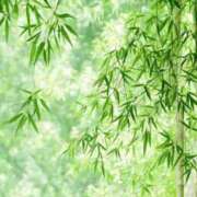 ヒメ日記 2026/04/22 08:54 投稿 緑川　あおい 30・40・50代☆人妻熟女コレクション
