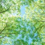 ヒメ日記 2026/04/23 09:57 投稿 緑川　あおい 30・40・50代☆人妻熟女コレクション