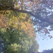 ヒメ日記 2025/11/14 11:47 投稿 結月（ゆづき） DEEP BLACK