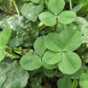 ヒメ日記 2025/11/20 22:46 投稿 結月（ゆづき） DEEP BLACK