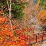 ヒメ日記 2025/11/28 23:08 投稿 結月（ゆづき） DEEP BLACK