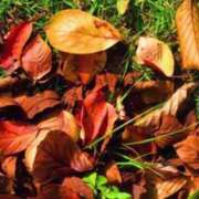 ヒメ日記 2025/11/30 21:13 投稿 結月（ゆづき） DEEP BLACK