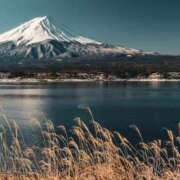 ヒメ日記 2025/12/14 23:30 投稿 結月（ゆづき） DEEP BLACK