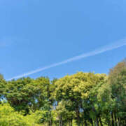 ヒメ日記 2025/12/23 23:02 投稿 結月（ゆづき） DEEP BLACK