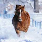 ヒメ日記 2026/01/02 23:25 投稿 結月（ゆづき） DEEP BLACK