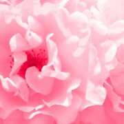 ヒメ日記 2026/02/02 11:54 投稿 結月（ゆづき） DEEP BLACK