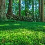 ヒメ日記 2026/02/08 22:52 投稿 結月（ゆづき） DEEP BLACK