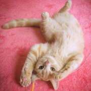 ヒメ日記 2026/02/10 10:43 投稿 結月（ゆづき） DEEP BLACK