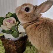 ヒメ日記 2026/03/03 23:13 投稿 結月（ゆづき） DEEP BLACK