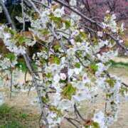 ヒメ日記 2026/03/19 12:58 投稿 結月（ゆづき） DEEP BLACK