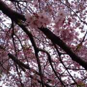 ヒメ日記 2026/03/25 00:05 投稿 結月（ゆづき） DEEP BLACK