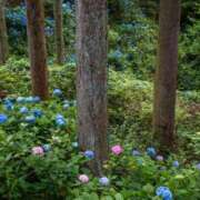 ヒメ日記 2026/04/29 21:29 投稿 結月（ゆづき） DEEP BLACK