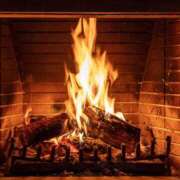 ヒメ日記 2025/11/29 23:09 投稿 結月（ゆづき） ローズ～ミドルエイジ～